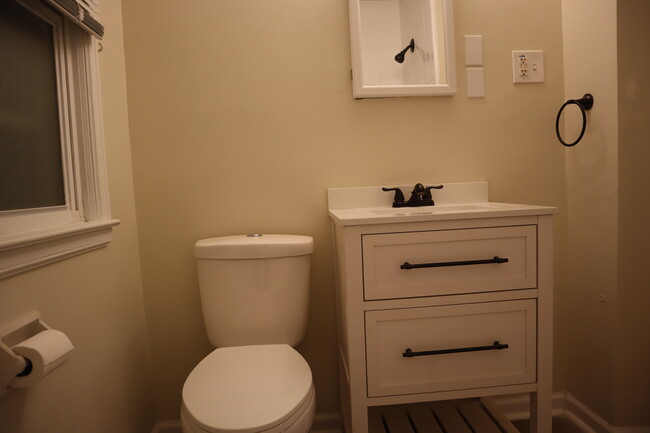 New toilet, new vanity, new mirror/medicine cabinet - 3421 Croissant St