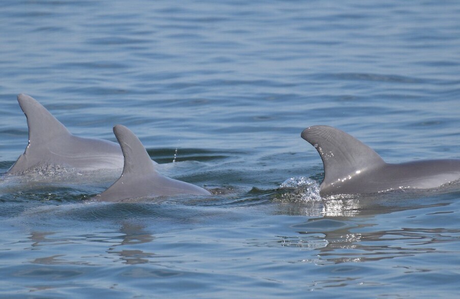 Building Photo - 480 Sail Ln