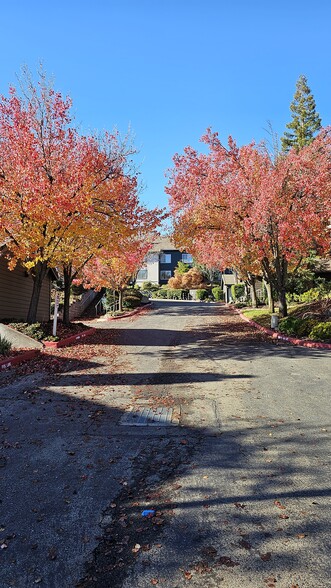 Building Photo - El Dorado Village