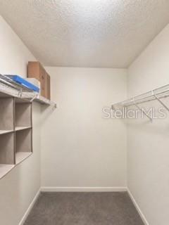 Building Photo - 2212 Grand Cayman Ct