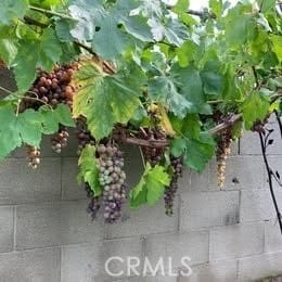 Building Photo - 1320-1323 3 Ranch Rd