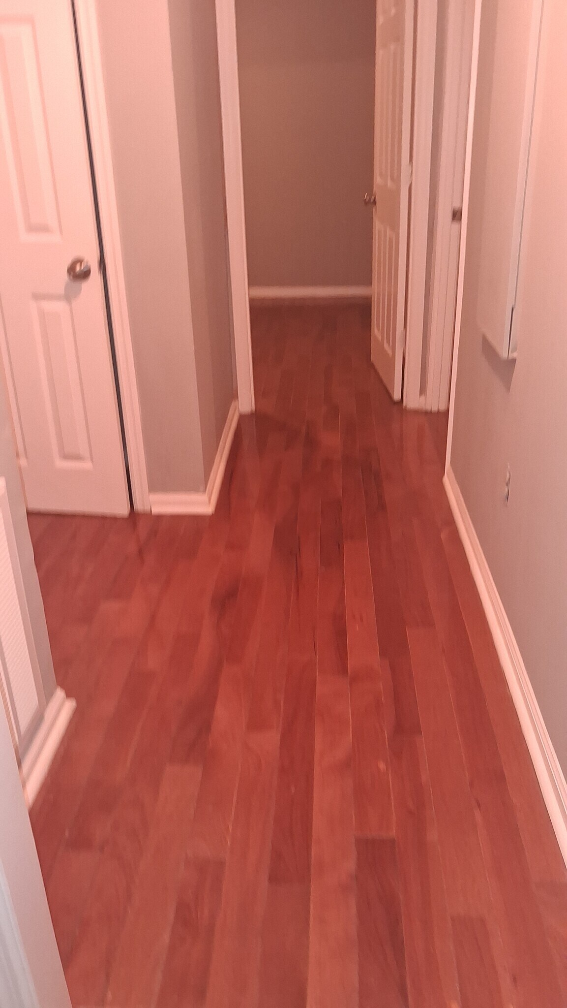 Building Photo - 2557 Delano Dr