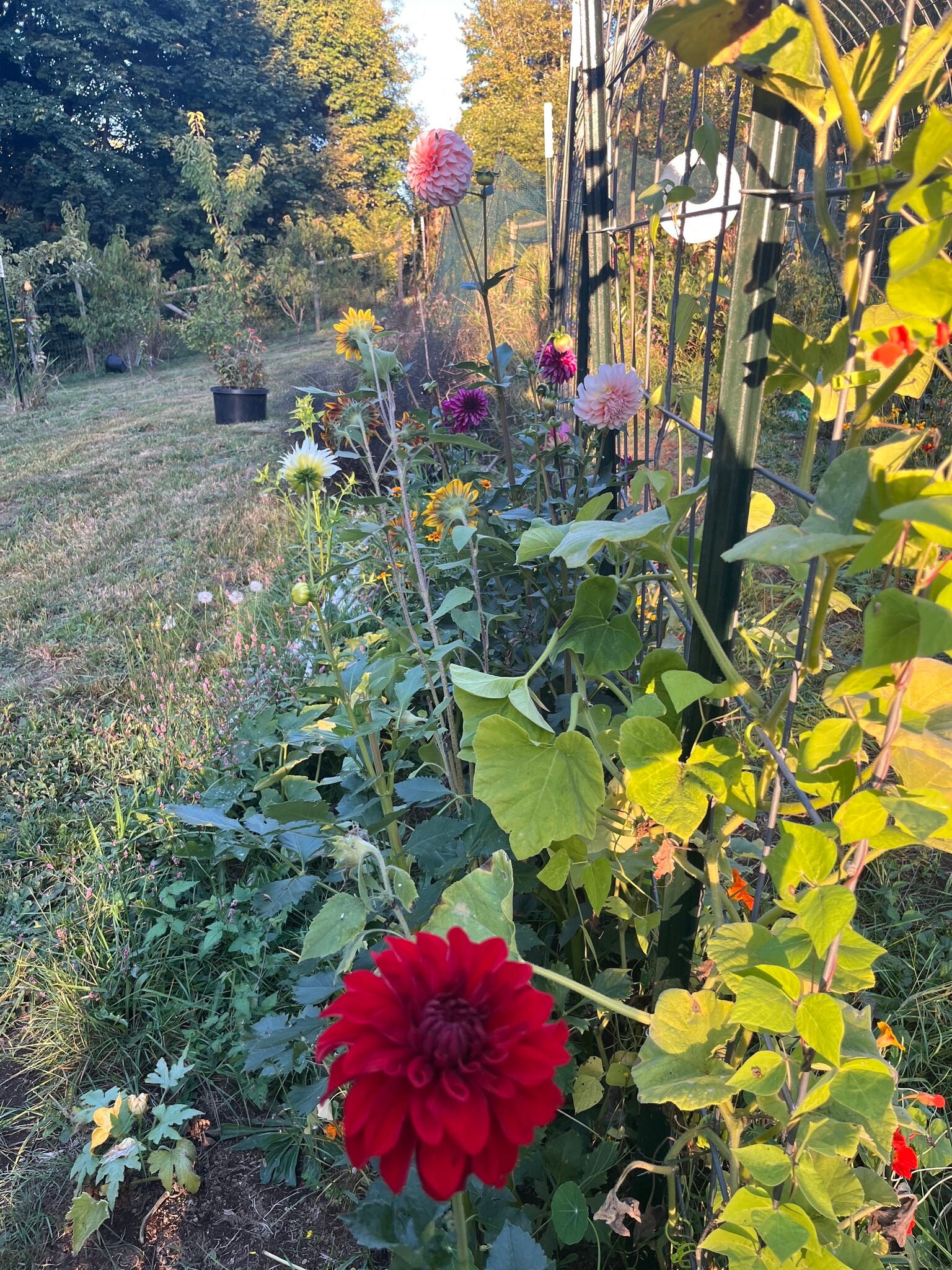 Building Photo - 15116 NE Grantham Rd