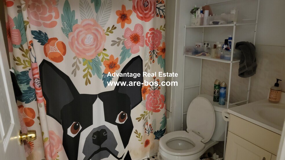 Building Photo - 60 Egmont St