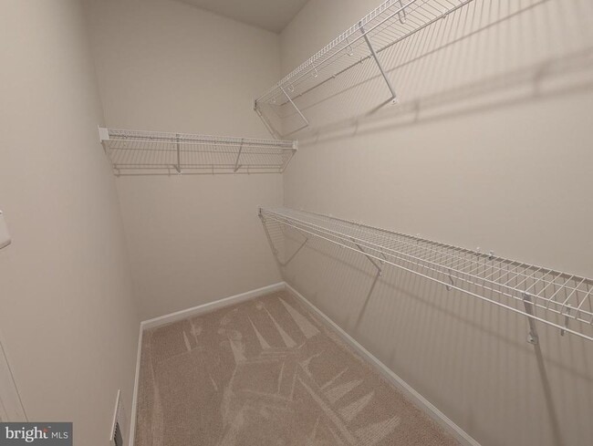 Building Photo - 3421 Carnaby St
