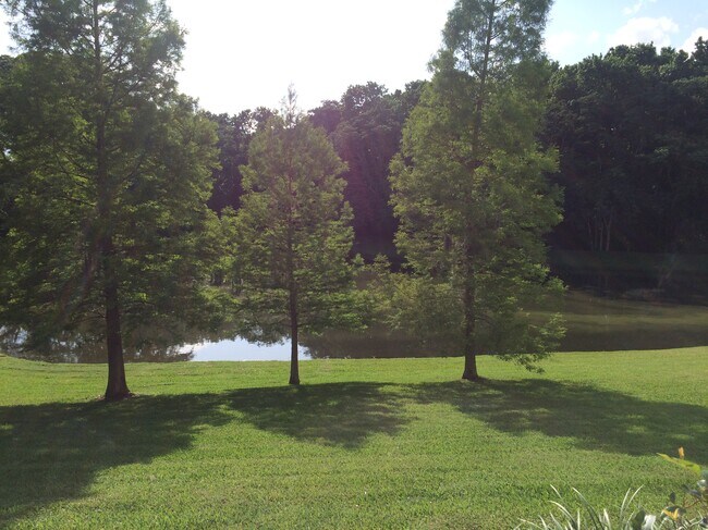 Building Photo - 4285 Summer Landing Dr