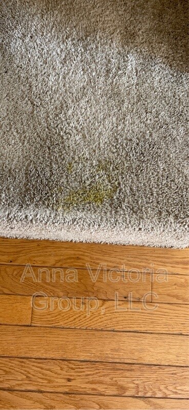 Building Photo - 229 Red Jade Dr