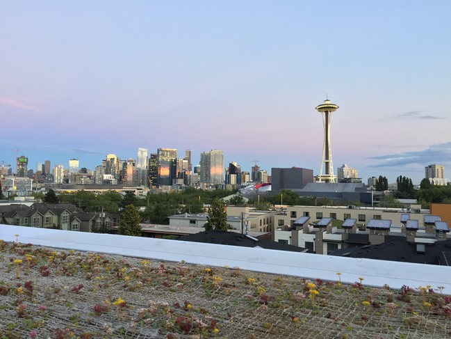 Roofdeck view - Vistana Apartments