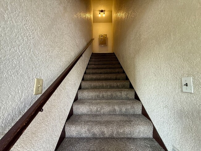 Building Photo - Cozy and Charming South Park One Bedroom Apartment Home!