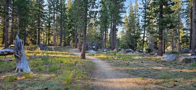 Building Photo - Large furnished mountain home walking distance to the river --- Available October 1