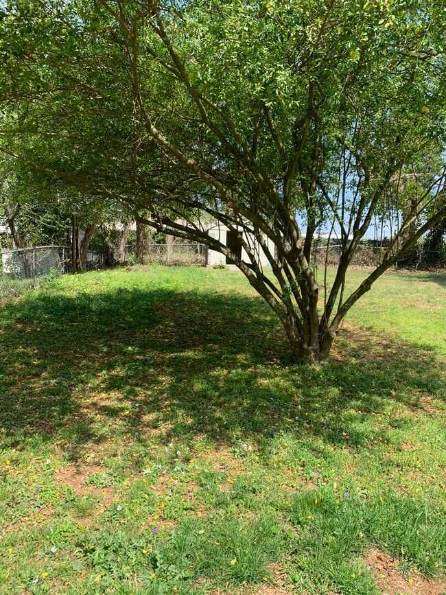 Building Photo - 2810 Stratford Dr