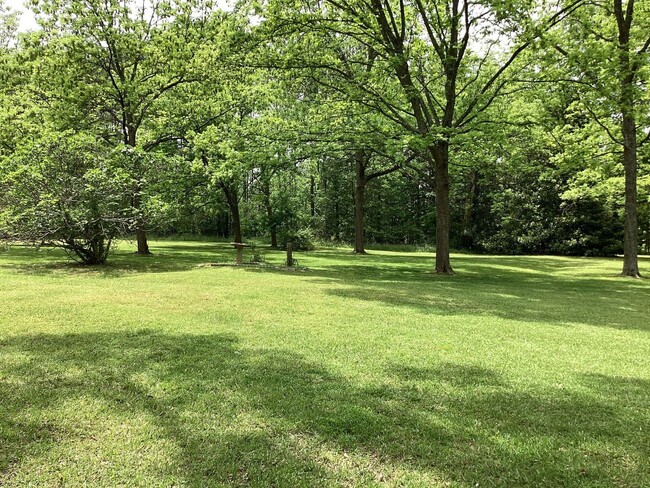 Building Photo - 17 Acres with enormous Magnolia trees