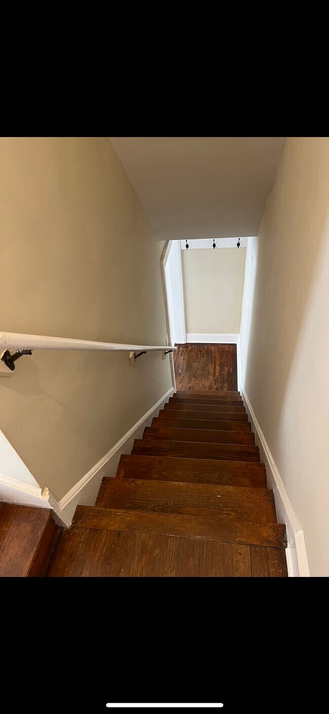 Down the stairs - 703 Clark St