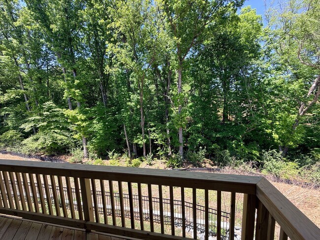 Building Photo - Brand New Townhome in the heart of Charotte