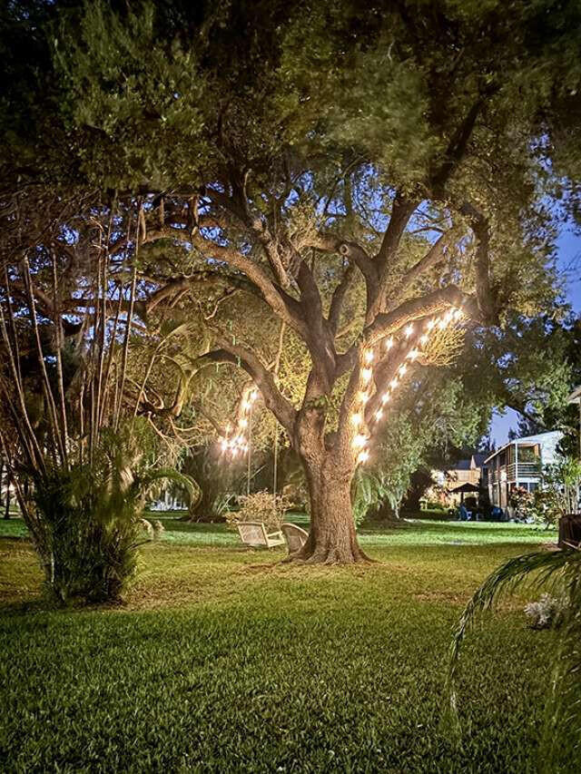 Building Photo - 433 Durham O