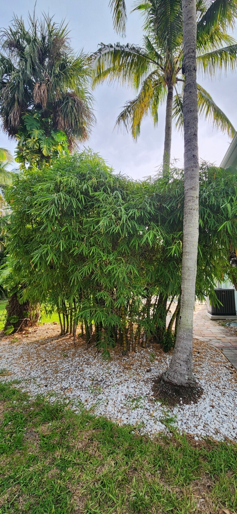 Yard - 1066 SE Saint Lucie Blvd
