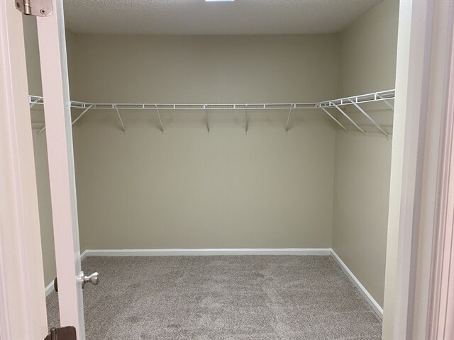 Building Photo - 11527 Spring Board Dr
