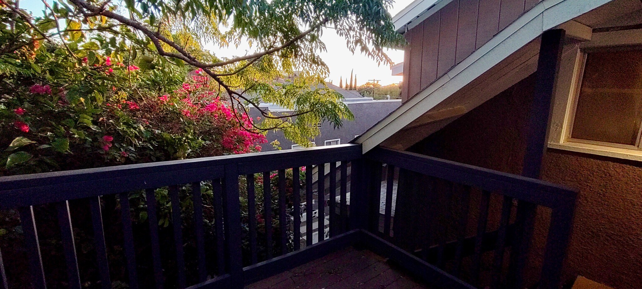 Deck 3 - 1150 Sanborn Ave. Apt C