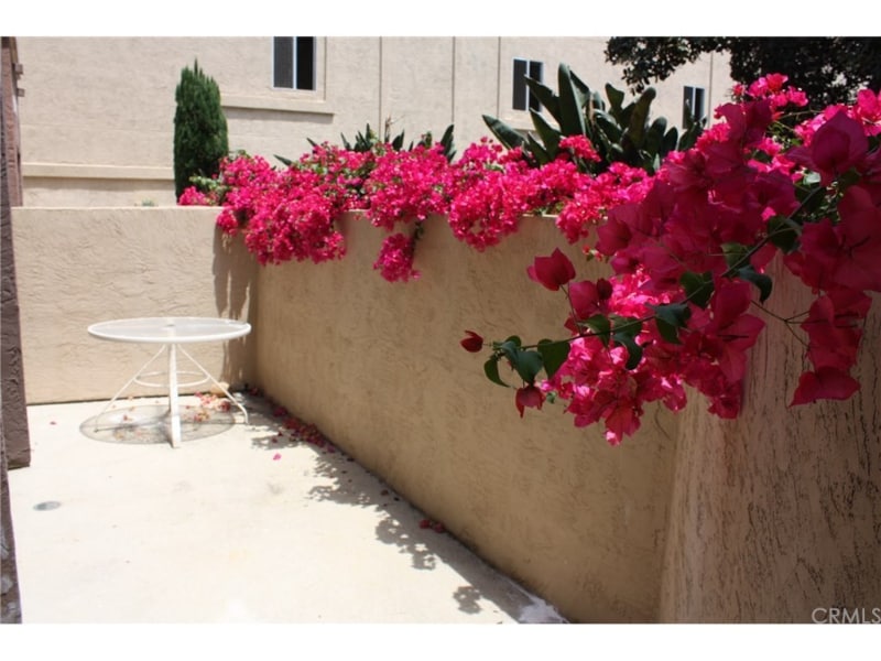 Building Photo - 3440 Lebon Dr