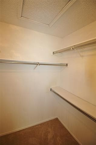 Building Photo - 2305 Valley Creek Dr