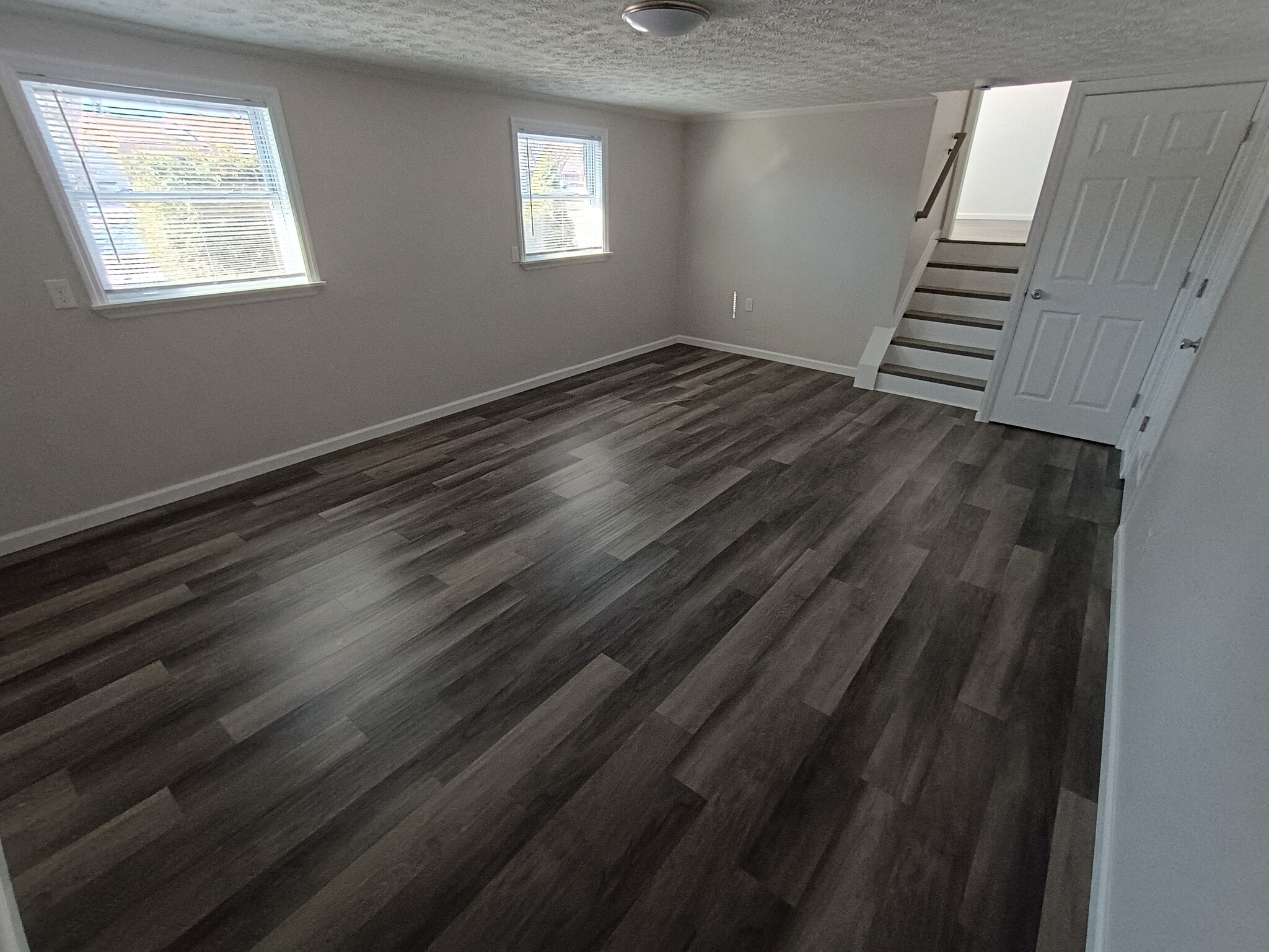 Lower Level - 904 Leslie Ct