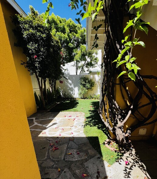 Private yard - 3120 Colorado Ave