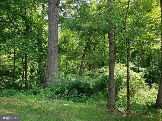 Building Photo - 126 Marsh Creek Dr