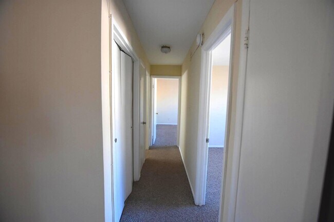 Building Photo - SUNNY & SPACIOUS 2 BR CONDO IS AVAILABLE IN COLLEGE PARK WALKING DISTANCE TO UMD