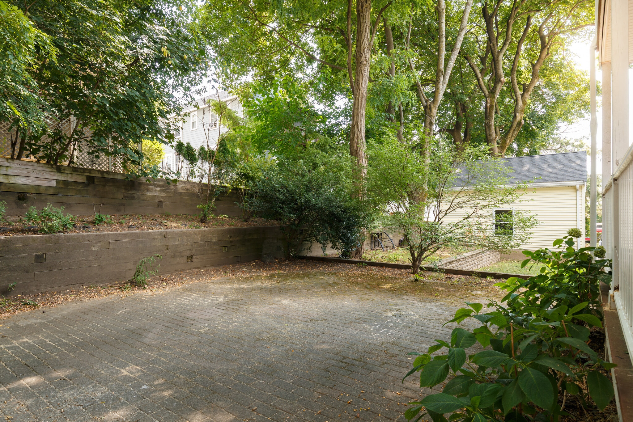 Back Yard - 21 Channing Rd