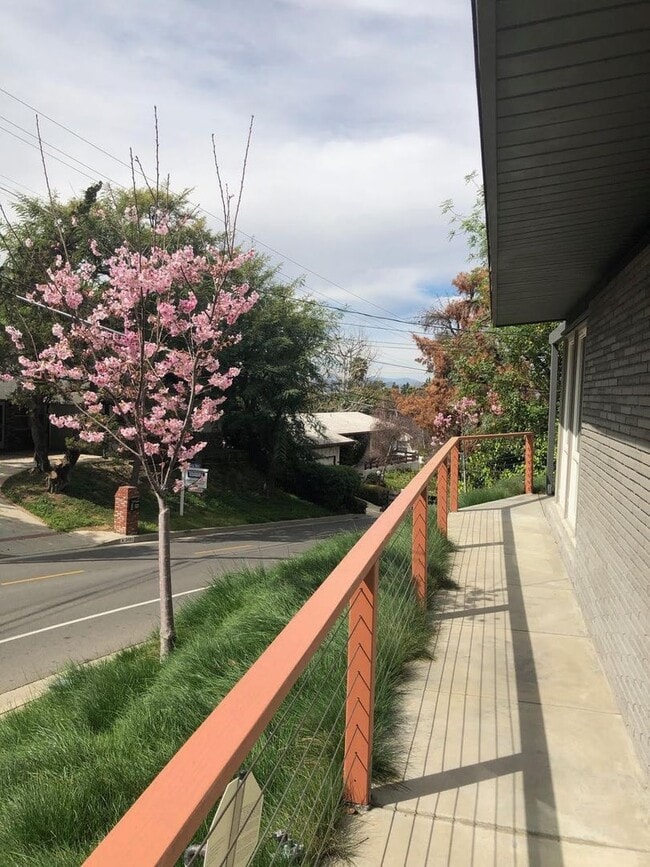 Building Photo - Mid-Century Modern Masterpiece!  South of the BLVD. Minutes to Westside, Mulholland, 405. Roscoma...