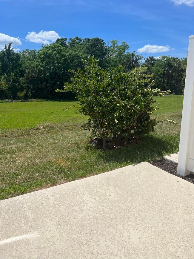 Building Photo - 8549 Lunar Skye St