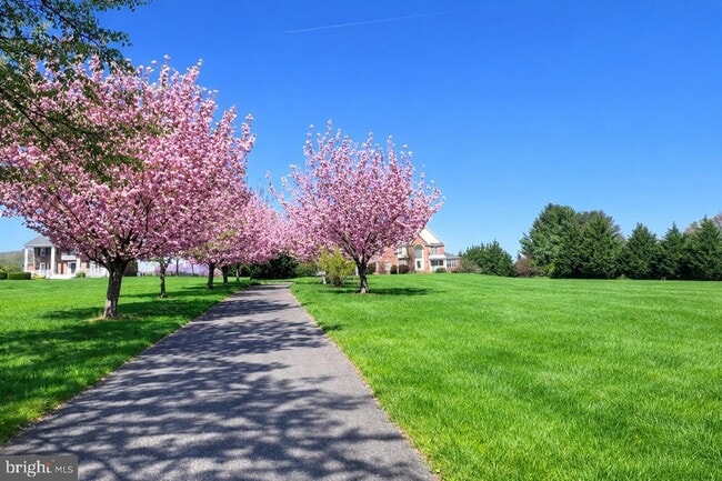 Building Photo - 13031-13012 12 Hills Rd