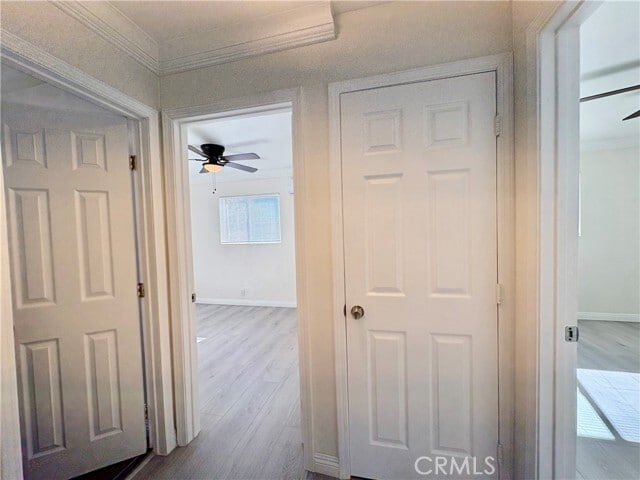 Building Photo - 538 N Virginia Ave