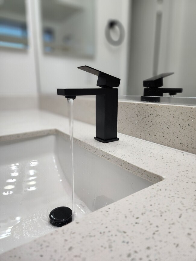 New faucets/sinks/counters - 929 Dusty Creek St