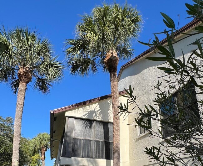 Building Photo - 3211 Jog Park Dr