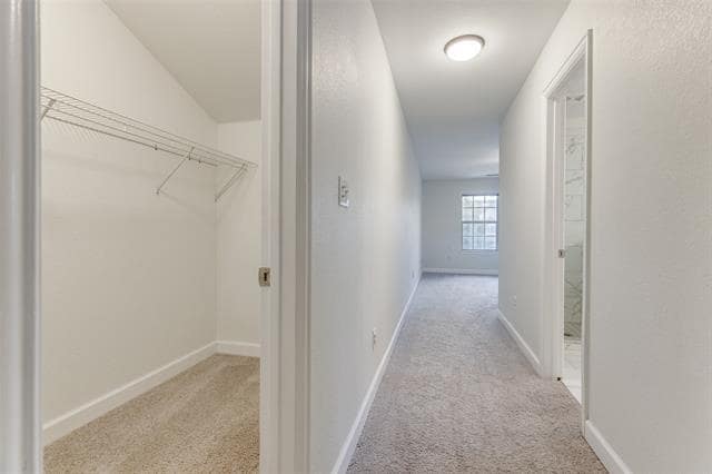 Building Photo - 913 Englewood Ln