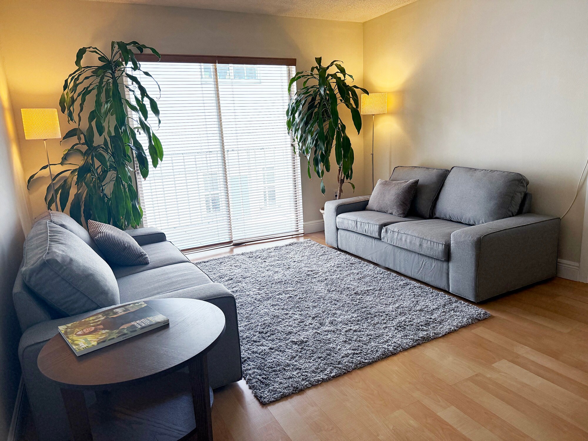 Living Room - 1615 Meridian Ave