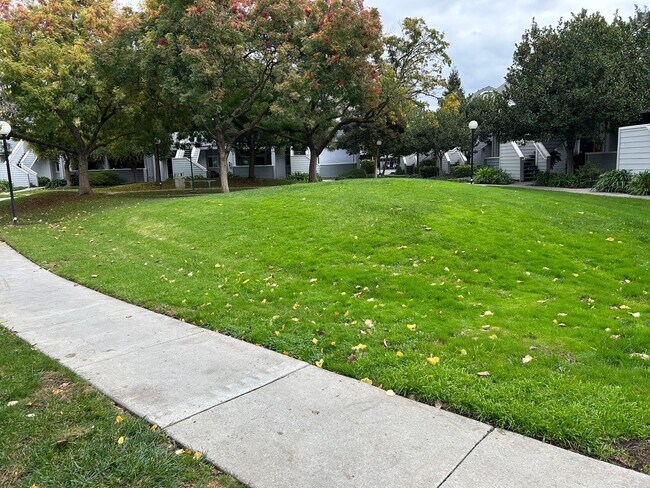 Building Photo - Spacious bright condo with new carpet and new paint and 2 bathrooms