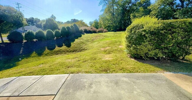 Building Photo - Charming 3-Bed End-Unit Townhome in Apex!