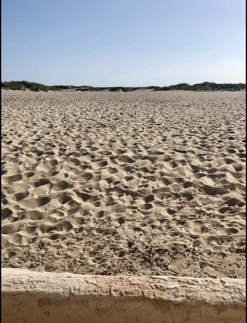 Building Photo - 3301 Ocean Dr