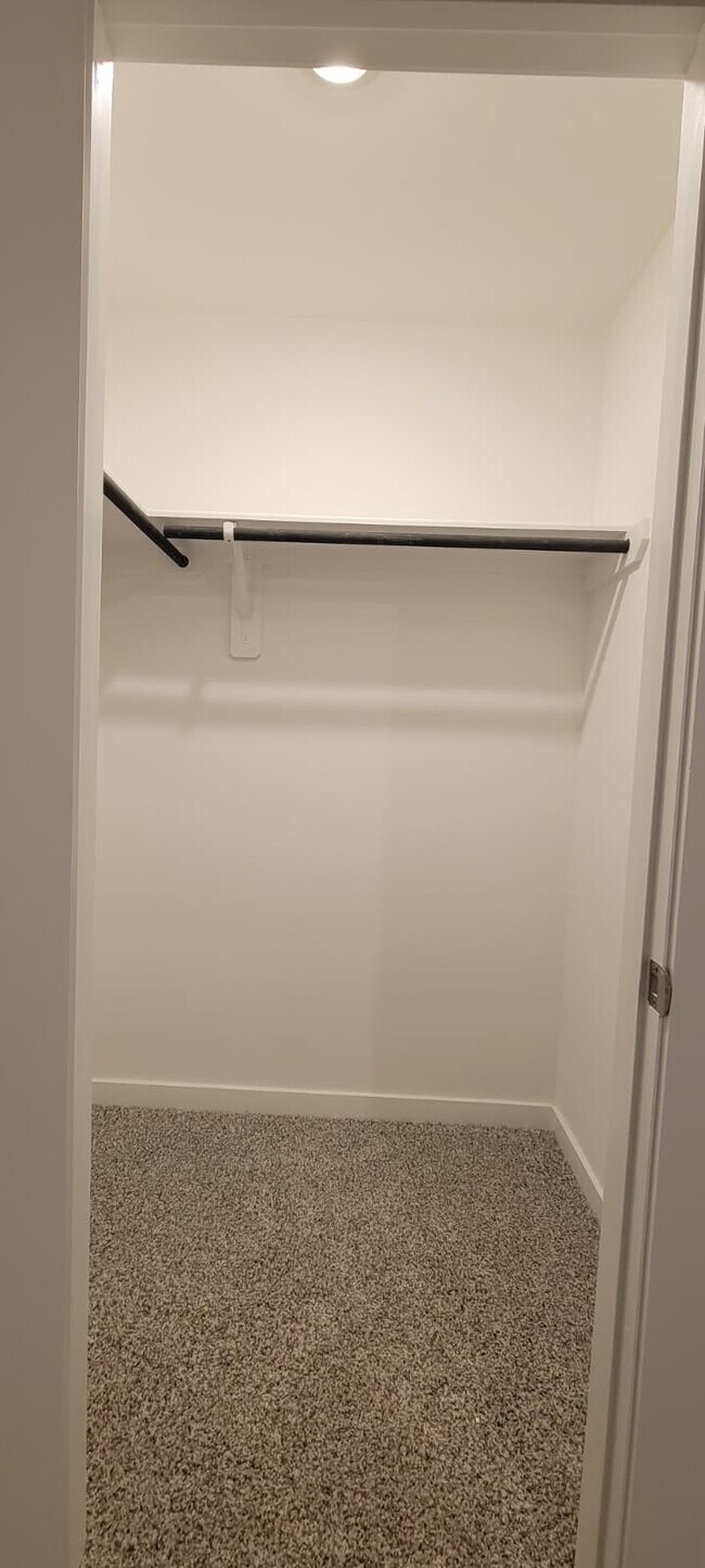 Building Photo - 3566 Blue Mockingbird St