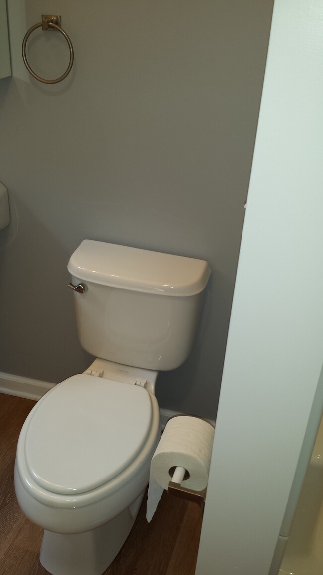 Elongated Toilet - 21 Unaka Ave