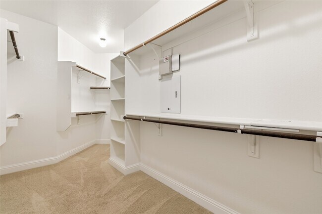 Building Photo - 3167 Izabella Ct