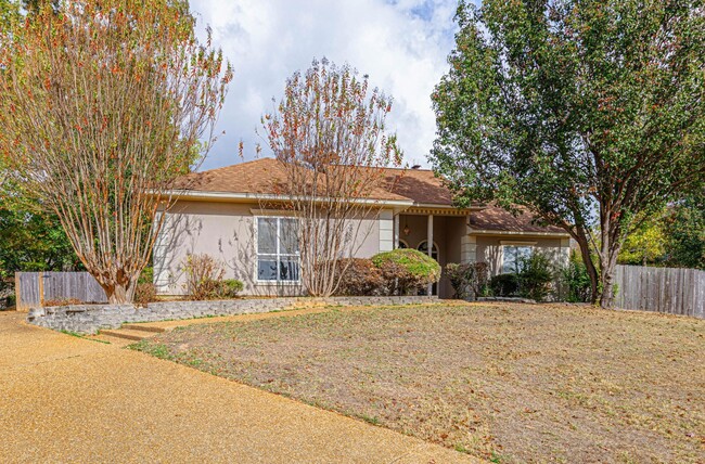 Building Photo - 5 Piedmont Cove