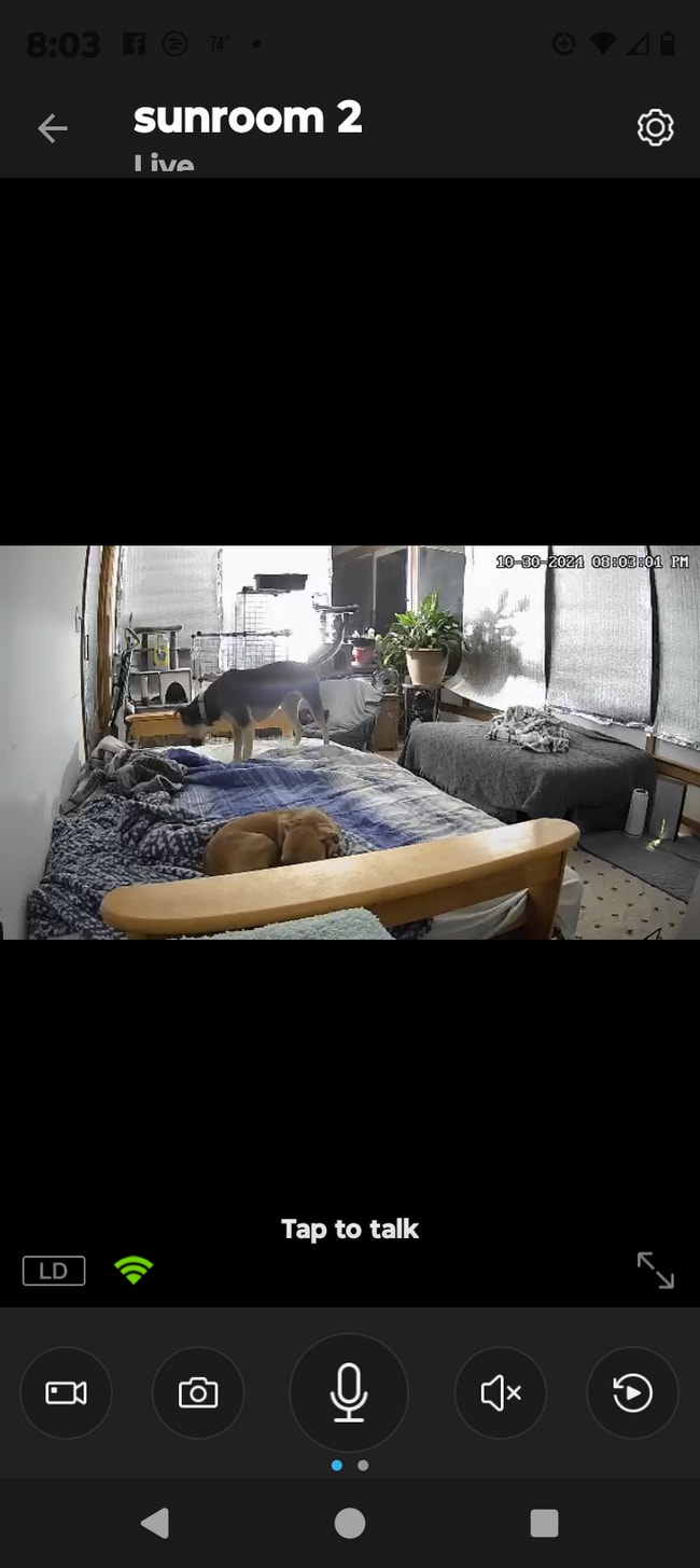 Building Photo - 116 Hidden Valley Dr