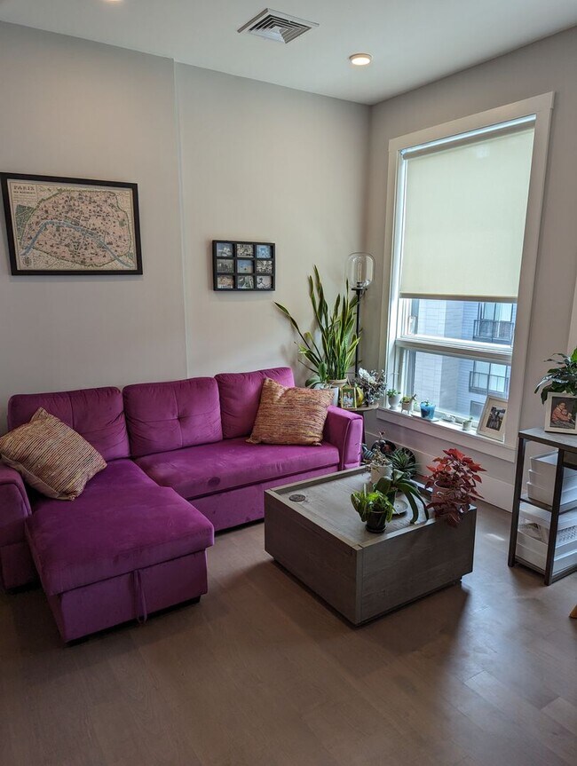 Building Photo - Jamaica Plain luxury 1 bedroom penthouse f...