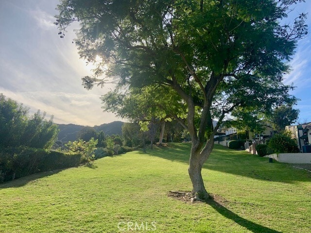 Building Photo - 2641 Condor Cir