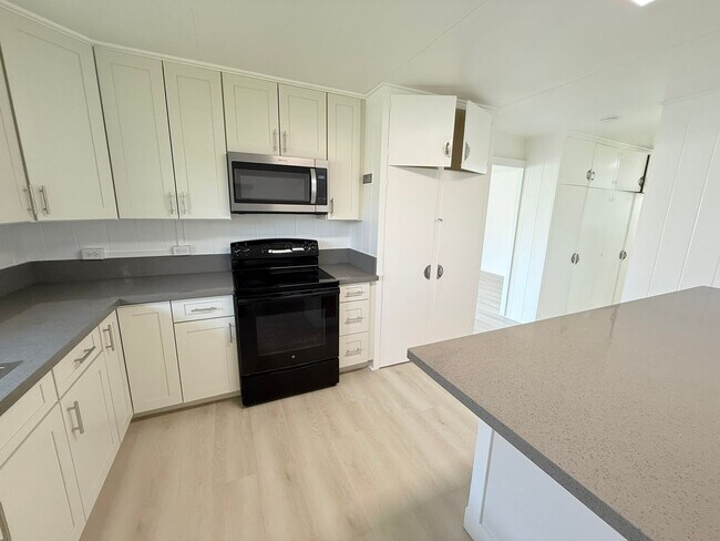 Building Photo - Newly Renovated 3-Bedroom, 1-Bathroom Sing...