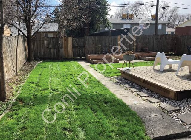 backyard - 358 Roosevelt Ave