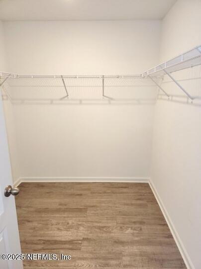 Building Photo - 2916 Duck Hollow Ln